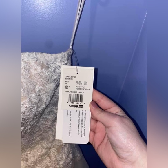 Sheer lace and tulle size 14 wedding dress - Picture 7 of 7